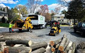 Best Emergency Tree Removal  in Lake Tapps, WA